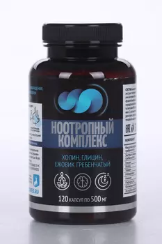 Ноотропный комплекс-Холин/Глицин/Ежовик Гребенчатый, 0,5 г, 120 шт, капсулы Натурведъ №57