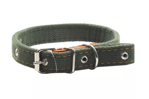 Ошейник брезентовый двухслойный, 50 х 2 см, ОШ 25-45 см