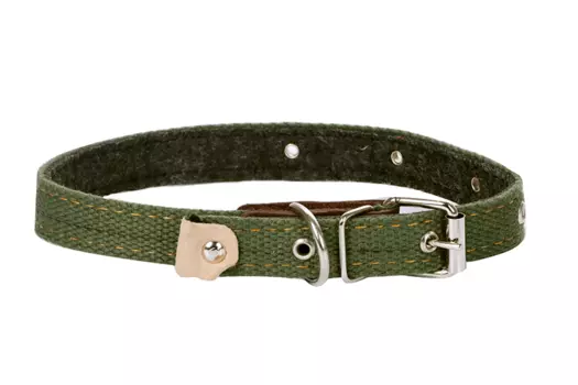 Ошейник брезентовый на фетре, 50 х 2 см, ОШ 25-45 см, микс цветов