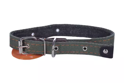 Ошейник брезентовый на фетре 50 х 2 см ОШ 25-45 см микс цветов