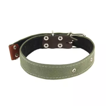 Ошейник брезентовый на фетре, 71 х 3,5 см, ОШ 30-55 см