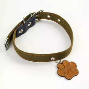 Ошейник брезентовый однослойный, 39 - 50 см, 56 х 2.5 см