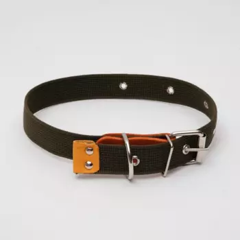 Ошейник брезентовый однослойный, 52 х 3 см, ОШ 30-55 см, микс цветов