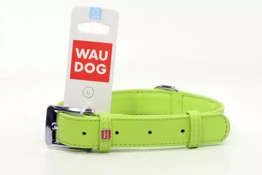 Ошейник COLLAR д/собак серии waudog glamour обхват шеи 38-49 см зеленый