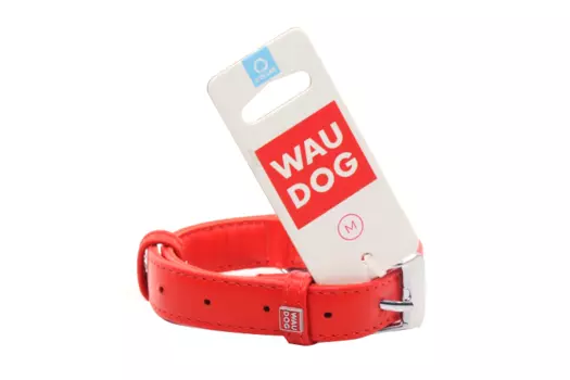 Ошейник COLLAR д/собак waudog glamour обхват шеи 30-39 см