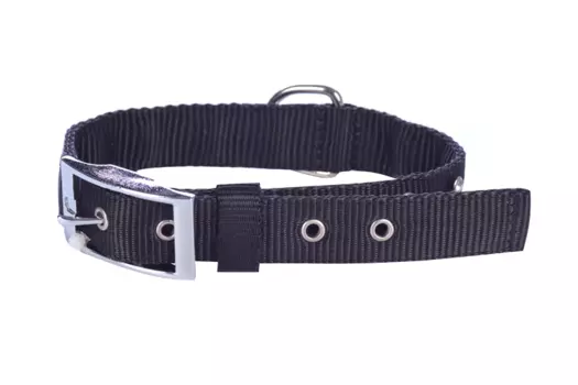 Ошейник двойной со стразами COLLAR д/собак dog extremе обхват шеи 38-48 см
