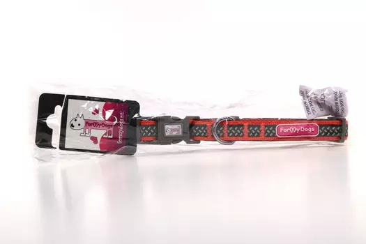 Ошейник ФоМайДогс светоотражающий оранж