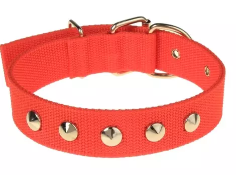 Ошейник клепаный, 48,5 х 3 см, полиэстер, красный