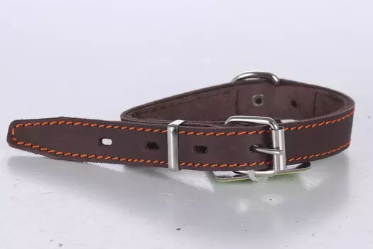 Ошейник кожаный двойной с кольцом посередине ширина 20мм обхват шеи от 27 до 35.