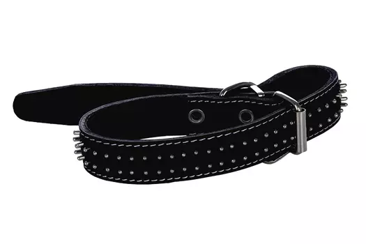 Ошейник кожаный двойной с шипами-ёж 30 мм обхв.шеи 44-53см