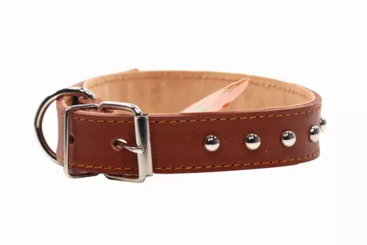 Ошейник кожаный двухслойный клепаный, 60 х 3 см микс цветов