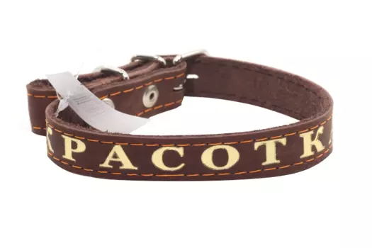 Ошейник кожаный однослойный, тиснёный «Красотка», 48 х 2 см, ОШ 32-43 см, микс цветов