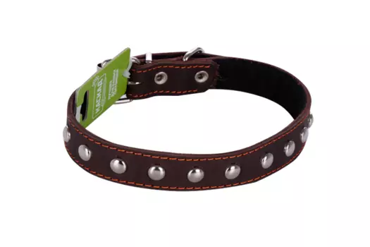 Ошейник кожаный с украшением с синтепоном ширина 30 мм обхват шеи от 44 до 53см