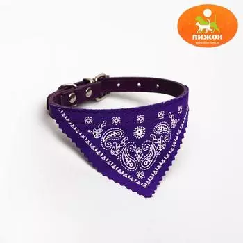 Ошейник с косынкой 32 х 1 см, фиолетовый
