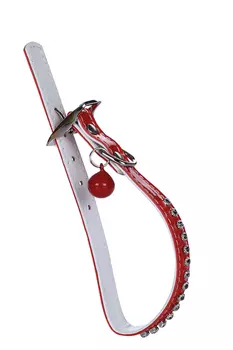 Ошейник Синтетик двойной прошитый д/кошки со стразами и бубенчиком 10ммх30см красный