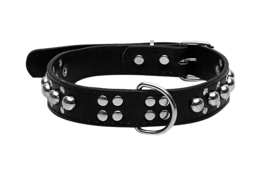 Ошейник "Сириус", кожзам с заклёпками, 57 х 3 см, чёрный