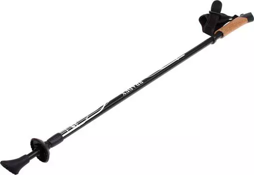 Палки Bradex д/скандинавской ходьбы 2 секции