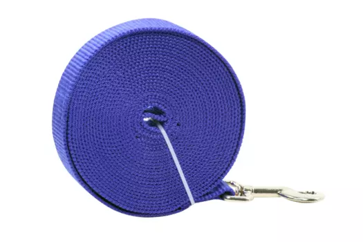 Поводок 5 м х 2,5 см, синий