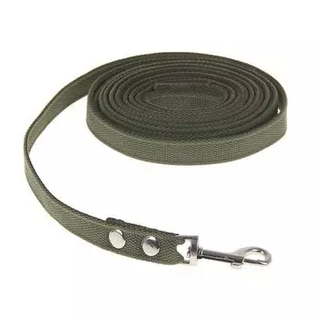 Поводок брезентовый 2 м х 2,5 см