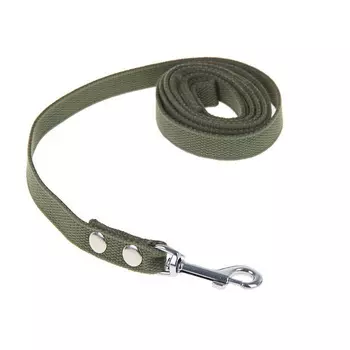 Поводок брезентовый 2 м х 2 см