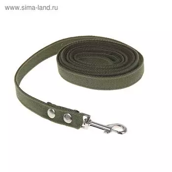 Поводок брезентовый 3 м х 2 см