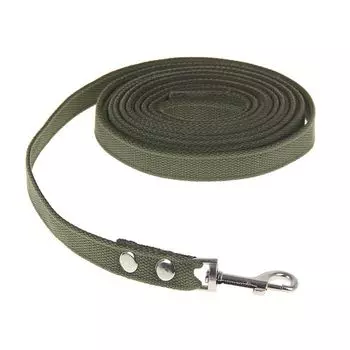 Поводок брезентовый 5 м х 2 см