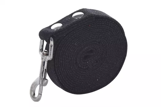 Поводок брезентовый, ширина 20 мм 3 метра