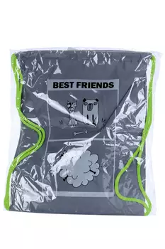 Рюкзак Светлячок д/мальчиков светоотраж 32х40 см шнурок 6 мм ткань серая рюк-bestfriends-3240