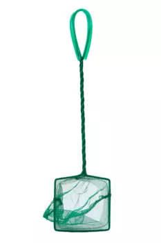 Сачок аквариумный 10 см, зеленый