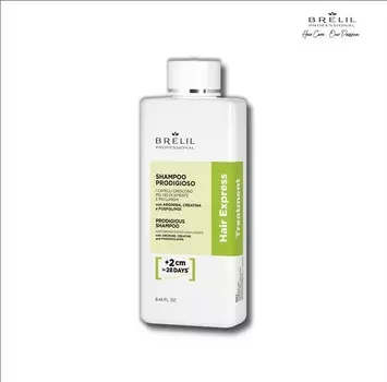 Шампунь Brelil professional AMINO TREATMENT для всех типов волос HAIR EXPRESS, 250мл.