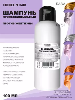 Шампунь для волос MICHELIN против желтизны в холодное серебро 100 мл