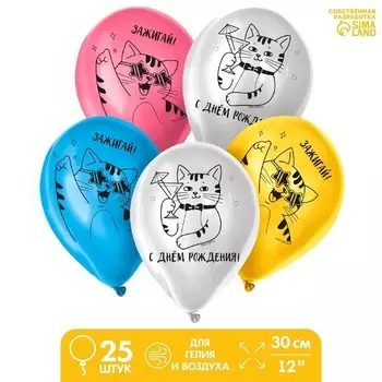 Шар латексный Страна Карнавалия Зажигай , набор 25 шт