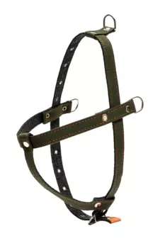 Шлейка брезентовая на фетре многоразмерная, 2,5 см, ОШ 48 см, ОГ 76-90 см