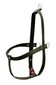 Шлейка брезентовая, регулируемая многоразмерная, 2,5 см, ОШ 45 см, ОГ 76-90