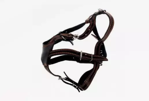 Шлейка кожаная "Универсальная", 2,5 см, ОШ 42-62 см, ОГ 86-100 см, микс цветов