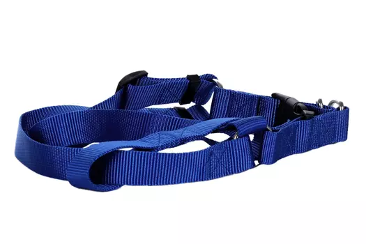 Шлейка нейлон 25ммХ40/90см синий