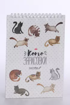Скетчбук ArtFox «Кот» А5, 40 л, 100 г/м