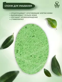 Спонж Shinewell для умывания овальный, 1 шт