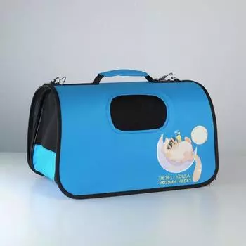 Сумка-переноска раскладная «Везёт» 43x20x27 см