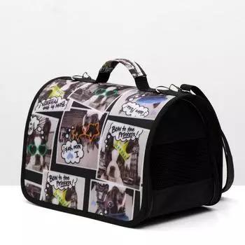 Сумка-переноска с принтом, 31 х 20,5 х 23 см, микс