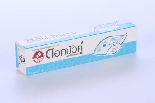 З/паста Twin Lotus Herbal Fresh Cool С травами свежесть и прохлада, 40 г