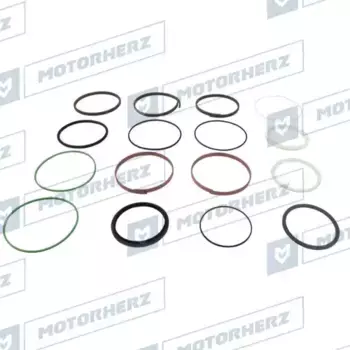 100XA0124CP Ремкомплект гидроцилиндра СТ MOTORHERZ