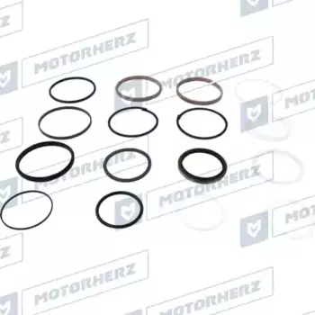 100XA0153CP Ремкомплект гидроцилиндра СТ MOTORHERZ