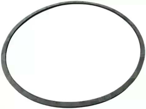 234941 Сальник генератора CARGO