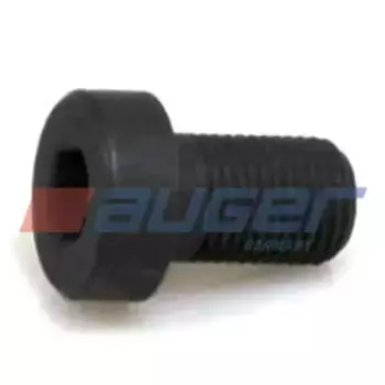 59285 Винт М10х16х1 цилиндр. головка под внутр.шестигр.-к 7 (каленый) IVECO AUGER