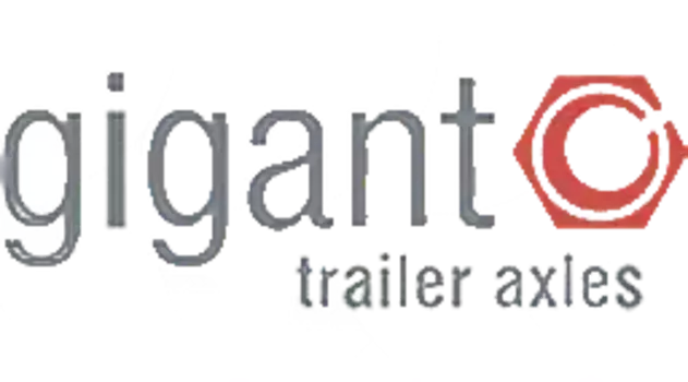 703015396 Болт крепления пневмобаллона М16х80 GIGANT