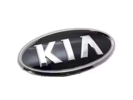 эмблема решетки радиатора KIA!\ Kia Carens/Cerato/Optima/Magentis/Picanto/Rio/Venga 02> 863101G100 MOBIS