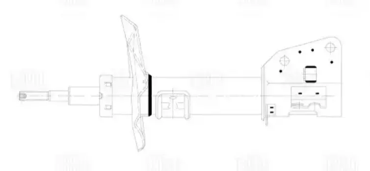 амортизатор передний газовый!\ Opel Movano B 2.3CDTi, Renault Master III 2.3DCi 10> AG 09062 TRIALLI