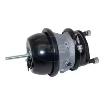 энергоаккумулятор! (9253840100) T16/24\ MB, Schmitz, SAF 02.06.1624.309 EBS