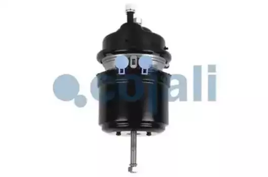 энергоаккумулятор !T24/24 дисков. тормоз\ Volvo/RVI 2251513 COJALI